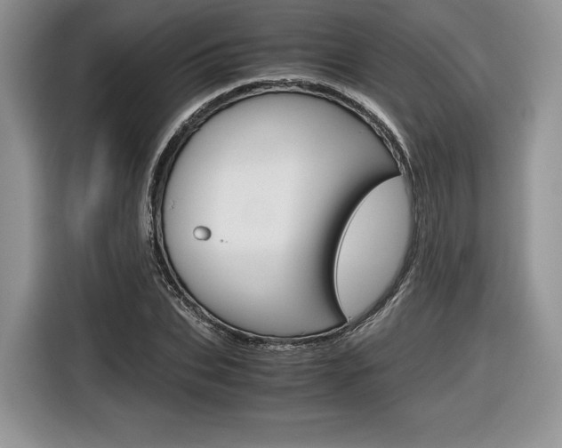X0000116840927200912181111