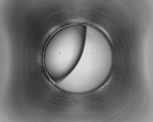 X0000116840930200912181111