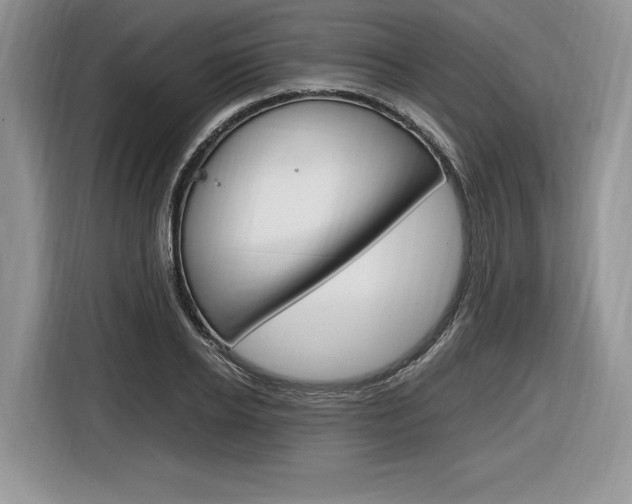 X0000116840934200912181111