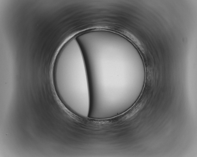 X0000116840939200912181111