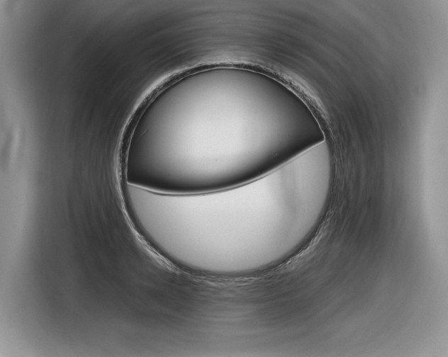 X0000116840942200912181111
