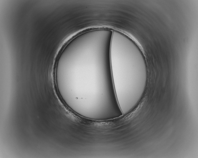 X0000116840943200912181111