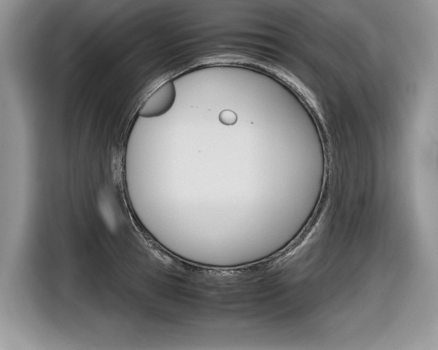 X0000116840945200912181111