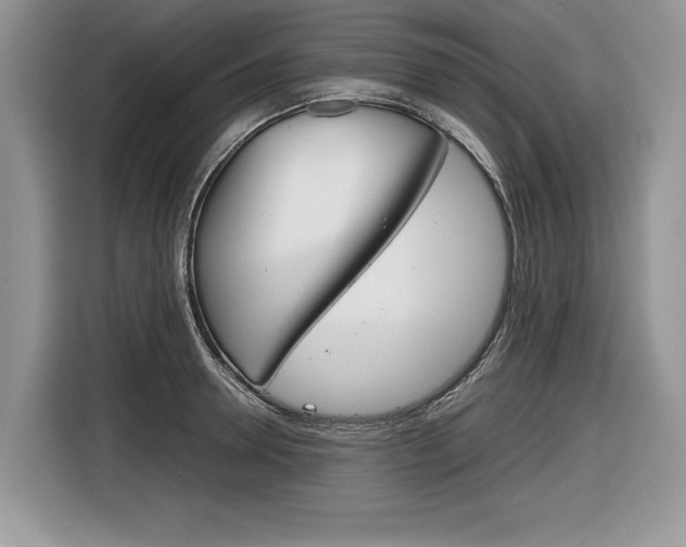 X0000116840946200912181111