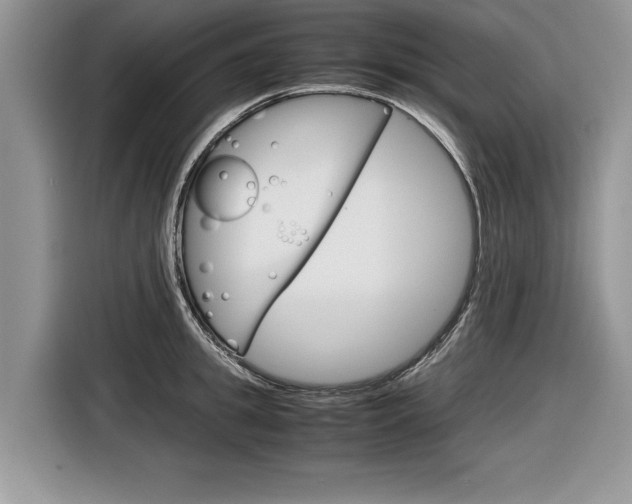 X0000116840949200912181112