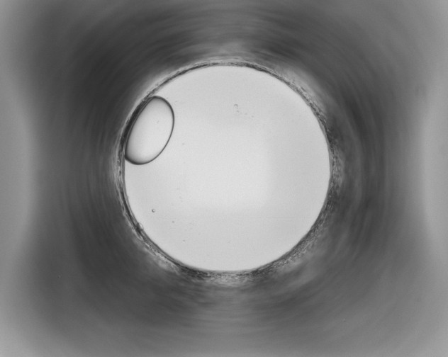 X0000116840950200912181112