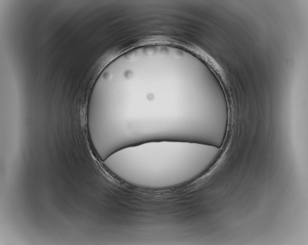 X0000116840953200912181112