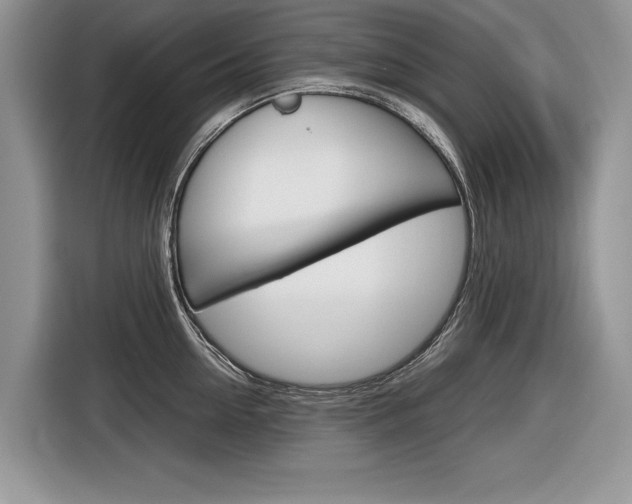 X0000116840954200912181112