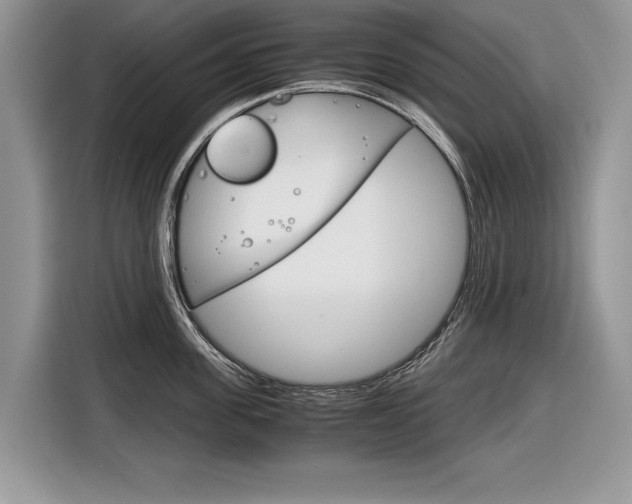 X0000116840955200912181112