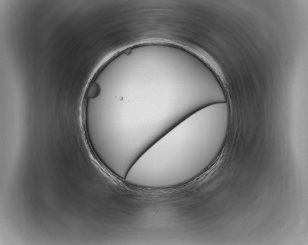 X0000116840958200912181112