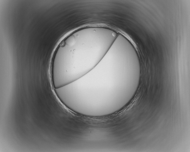 X0000116840959200912181112