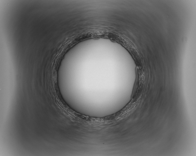 X0000116840961200912181111