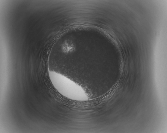 X0000116840962200912181111