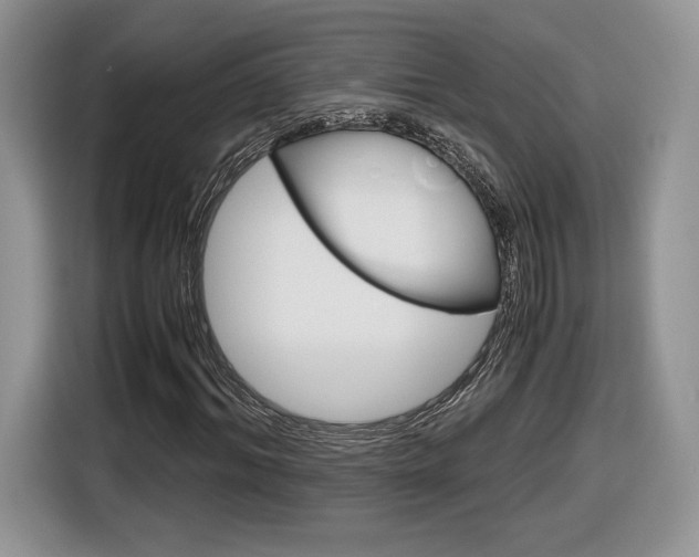 X0000116840964200912181111