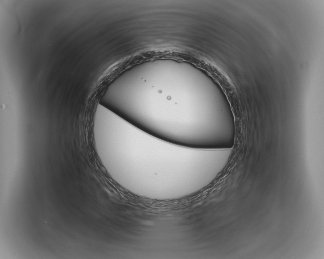 X0000116840968200912181111