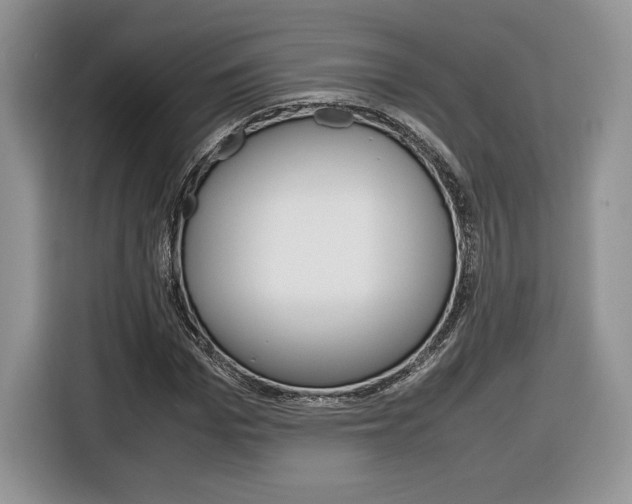 X0000116840969200912181111