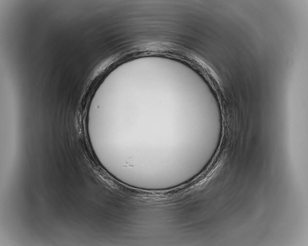 X0000116840970200912181111
