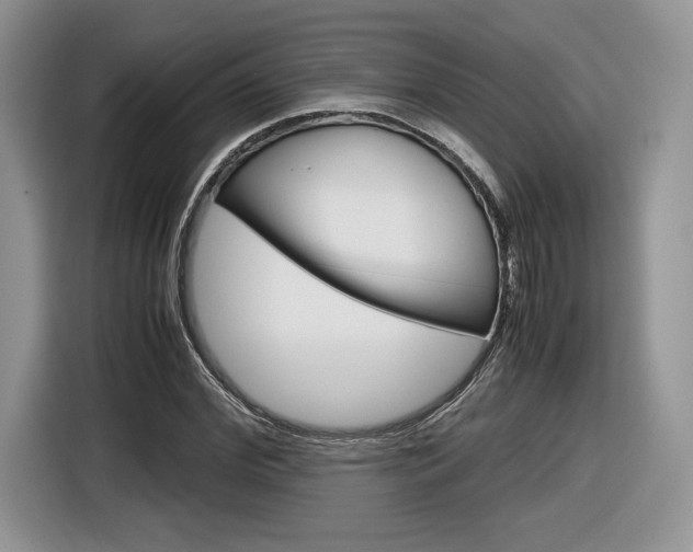 X0000116840972200912181111