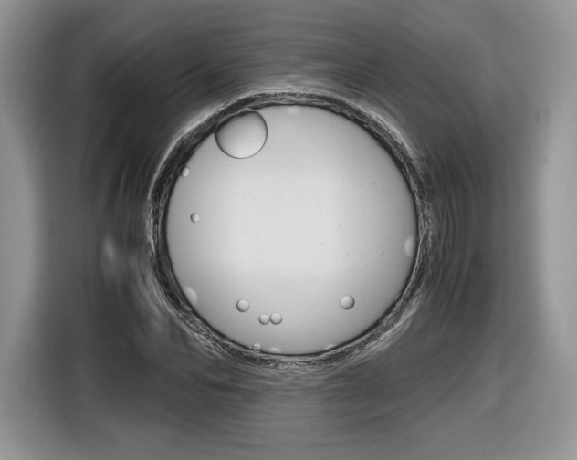 X0000116840974200912181111