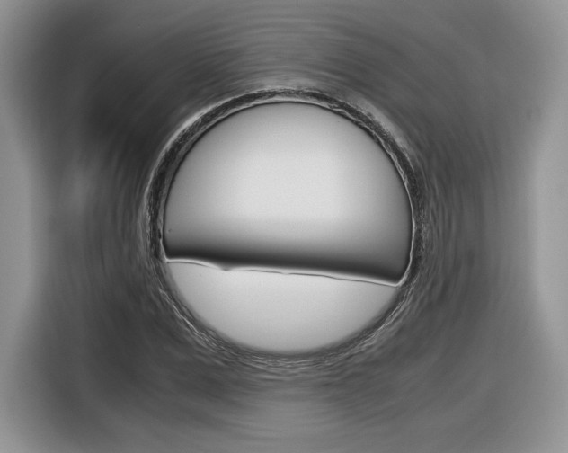 X0000116840975200912181111