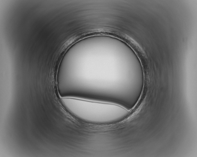 X0000116840977200912181111