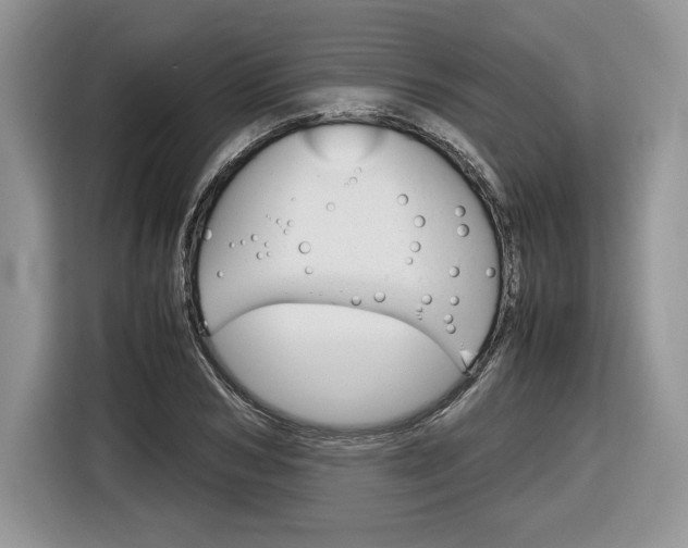 X0000116840978200912181111