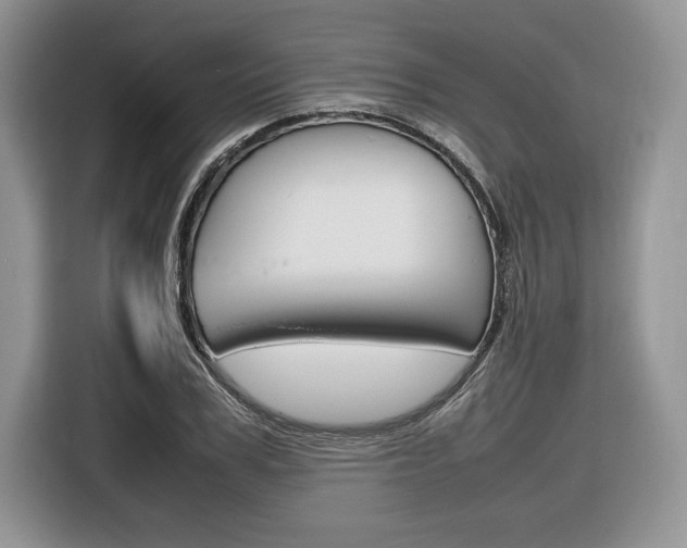 X0000116840979200912181111