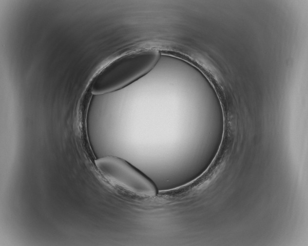 X0000116840981200912181111
