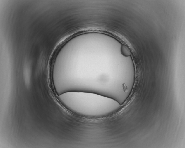 X0000116840982200912181111
