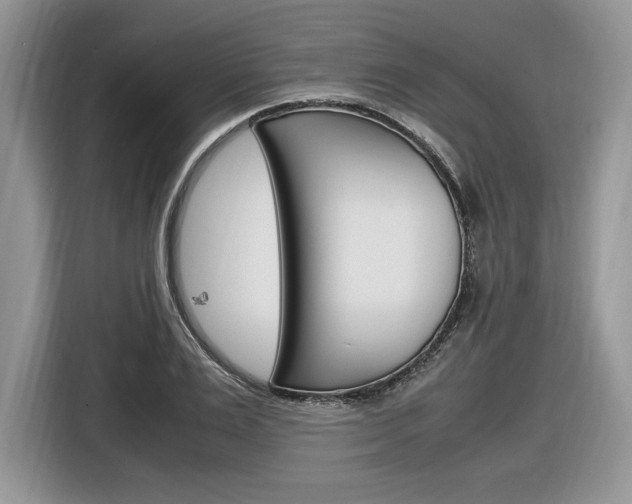 X0000116840983200912181111