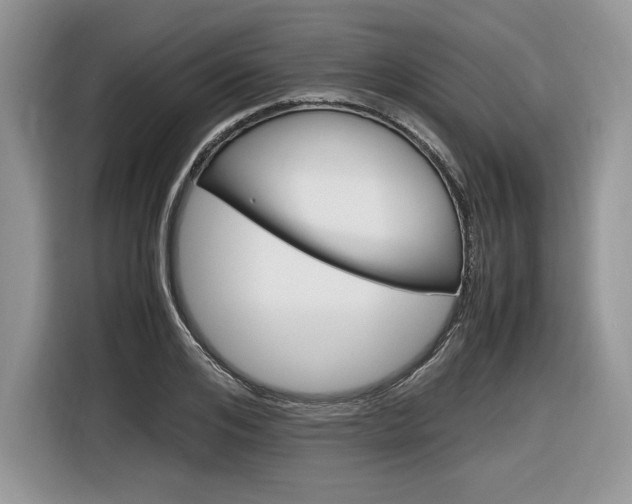 X0000116840984200912181111