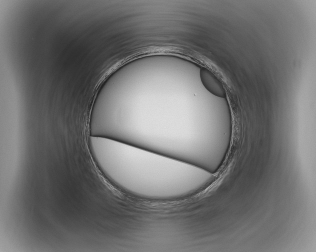 X0000116840985200912181111