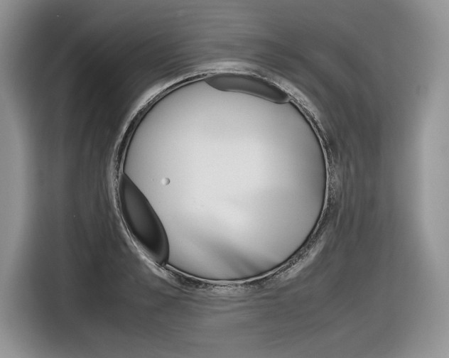 X0000116840989200912181111