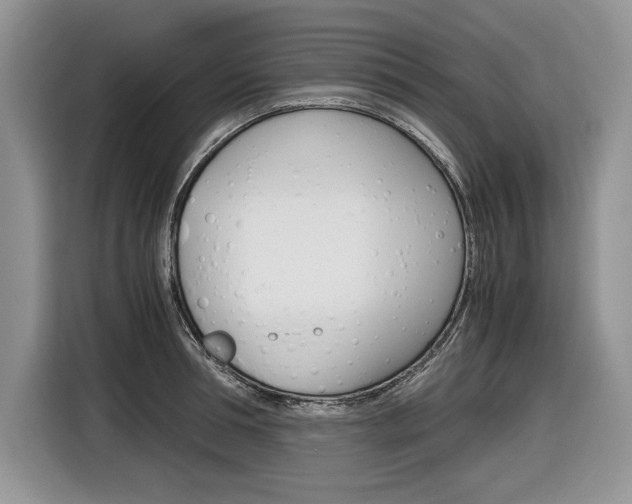 X0000116840994200912181111