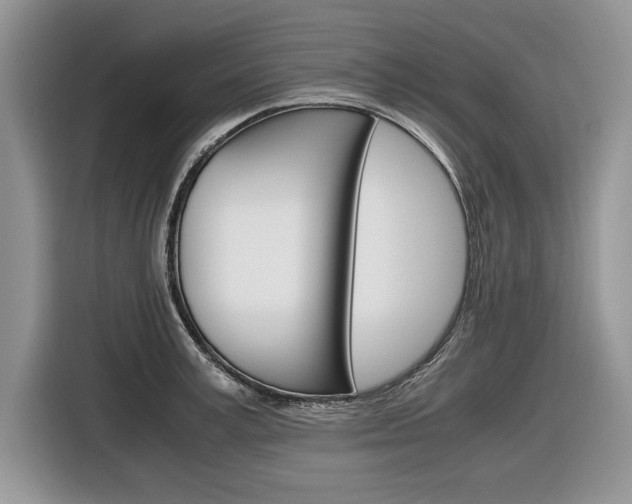 X0000116840995200912181111