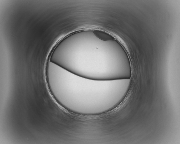 X0000116840997200912181111
