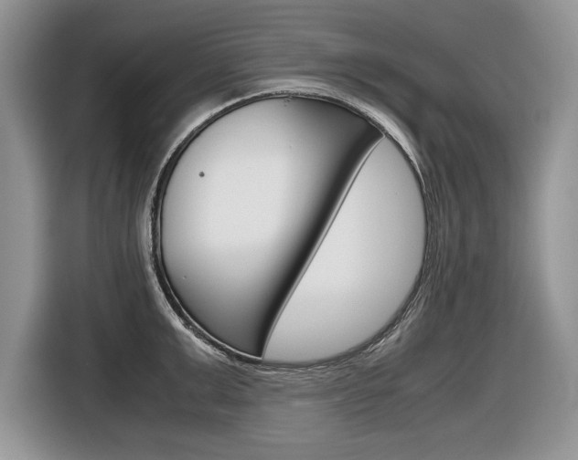 X0000116840999200912181111