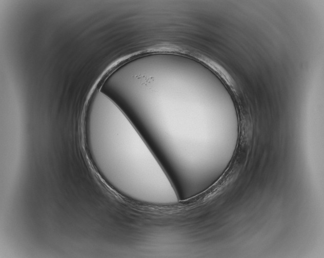 X0000116841000200912181111