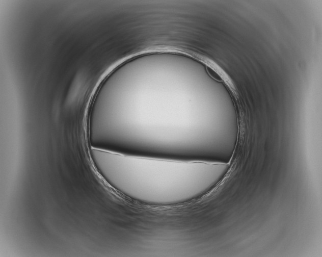 X0000116841004200912181110