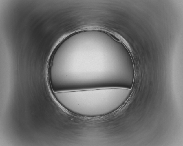 X0000116841005200912181110