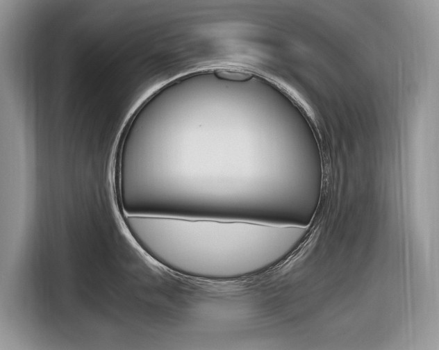 X0000116841007200912181110