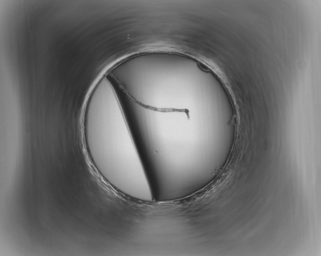 X0000116841008200912181110