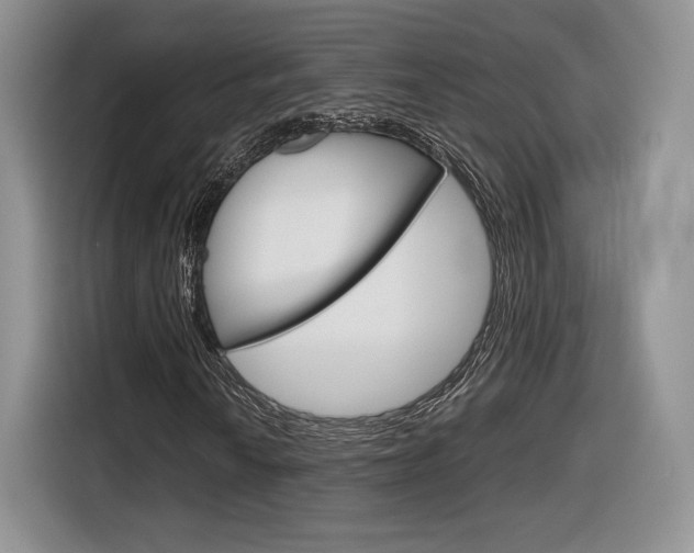 X0000116841010200912181110