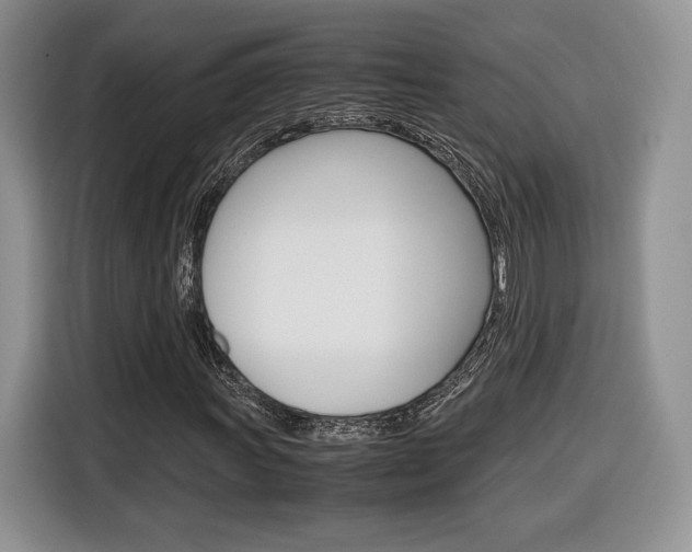 X0000116841011200912181110