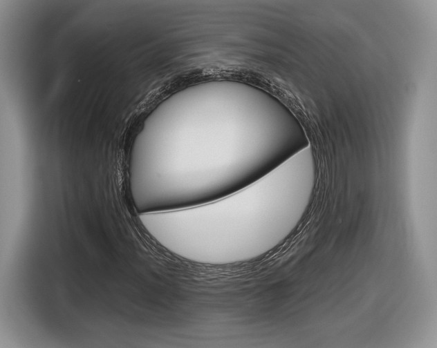 X0000116841012200912181110