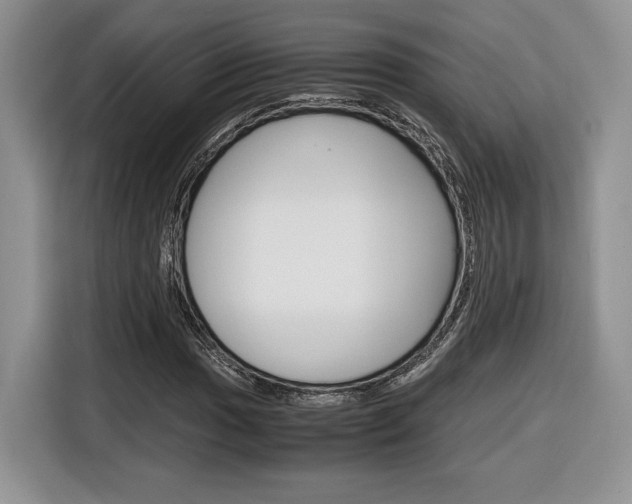 X0000116841017200912181110