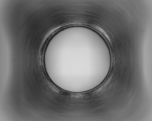 X0000116841019200912181110