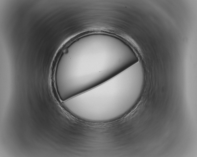 X0000116841020200912181110