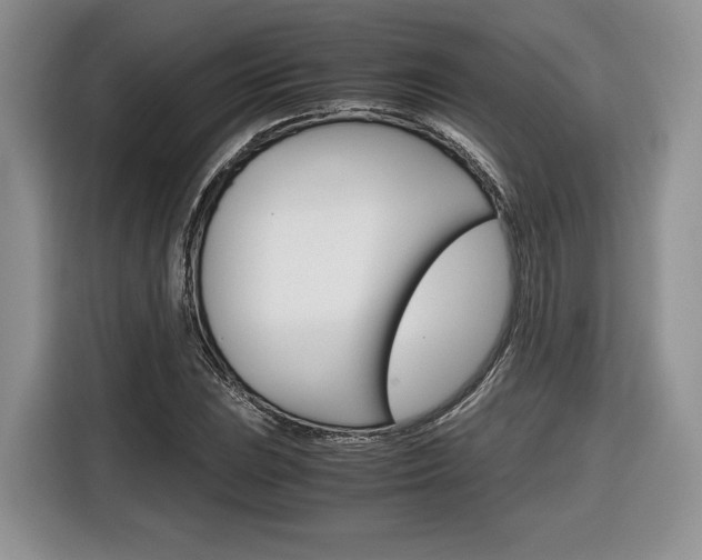 X0000116841023200912181110