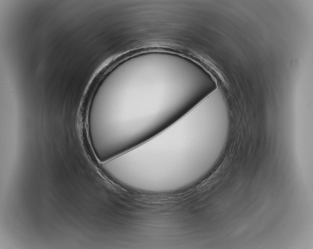 X0000116841024200912181110